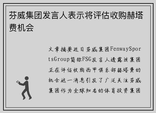 芬威集团发言人表示将评估收购赫塔费机会